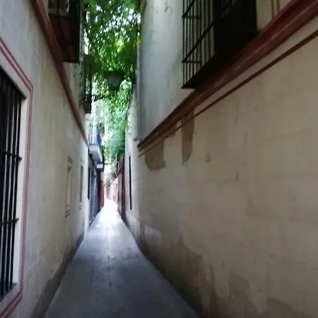 Apartamento En La Juderia De Sevilla Exterior foto